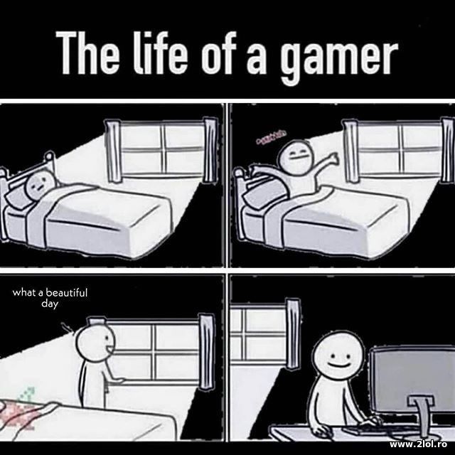 The life of a gamer poze haioase
