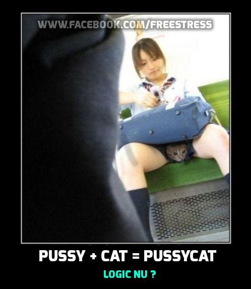 Pussycat poze haioase