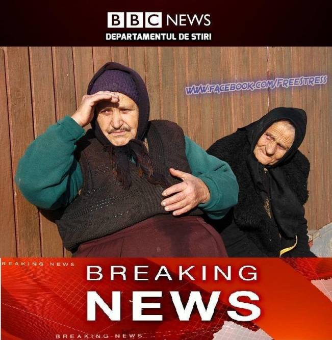 BBC News | poze haioase