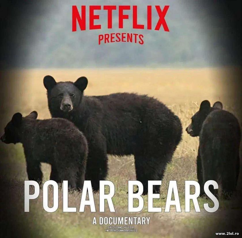Netflix presents polar bears | poze haioase