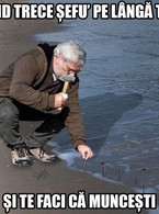 Cand trece sefu pe langa tine si te faci ca munces - poza demo