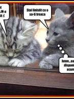 Oare fetele gândesc la asemănător? - poza demo