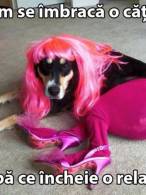 Când o cățea încheie o relație - poza demo