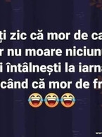 Toti zic ca mor de cald dar nu moare niciunul. Ii - poza demo