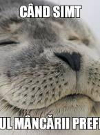 Mâncarea preferată - poza demo