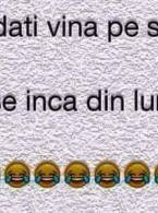 Nu daţi vina pe sărbători - poza demo