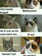 Esti foarte dragut - poza demo