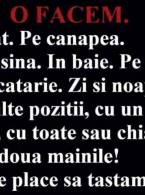 O facem peste tot - poza demo