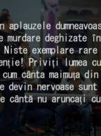 Definiția lăutarilor - poza demo