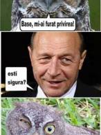 Băse mi-ai furat privirea - poza demo