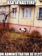 Asa ia nastere un administrator de bloc - poza demo