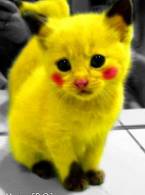 Flocosenie - poza demo