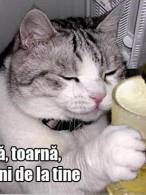 Toarnă, că nu torni de la tine - poza demo