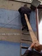 Pur si simplu Dorel - poza demo