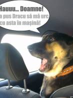 Când te cară o femeie - poza demo