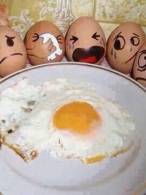 Ouăle, când unul de-al lor cade - poza demo