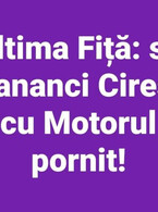 Ultima fita - poza demo