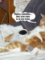 Beneficile zilei de vineri - poza demo