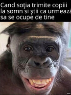 Cand sotia trimite copiii la somn - poza demo