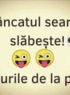 Mancatul seara - poza demo