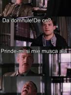 Tu esti Omu Paiangan? - poza demo