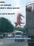 Și așa i s-a mărit salariul - poza demo