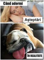 Cum crezi că arăţi atunci când adormi - poza demo