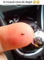 Cand te joci prin parul ei - poza demo