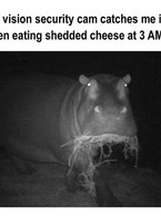 Night vision security can caches me in the - poza demo