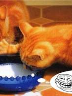 Stai acolo că stai bine - poza demo