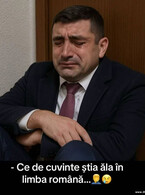 Ce cuvinte, Georgica - poza demo