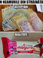 Vin neamurile din strainatate. Asteptari realitate - poza demo