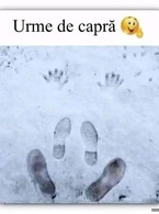 Urme de capra - poza demo