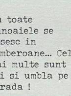 Nu toate gunoaiele se gasesc in tomberoane - poza demo