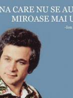 Beșina care nu se aude - poza demo