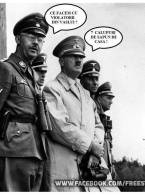 Ce facem cu violatorii din Vaslui ? - poza demo