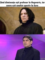 Cand dimineata esti profesor si seara analist Euro - poza demo