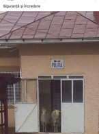 Siguranta si incredere - poza demo