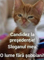 O lume fara sobolani! - poza demo