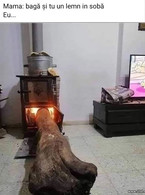 Baga si tu un lemn in soba - poza demo