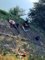 Pauzele lungi si dese, cheia marilor succese - poza demo