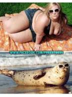 asemanare perfecta - poza demo