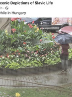 Meanwhile in Hungary - poza demo