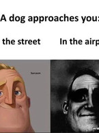 A dog aproaches you - poza demo