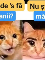 Unde's banii? - poza demo