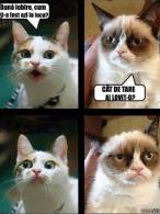 Când iubita se comportă prea frumos cu tine - poza demo