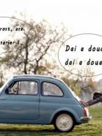 Dăi bă a doua - poza demo