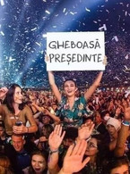 Gheboasa presedinte - poza demo