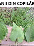 Banii din copilarie - poza demo