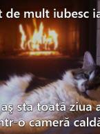 Atât de mult iubesc iarna - poza demo